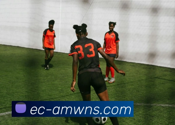 威尼斯人娱乐官网品牌故事